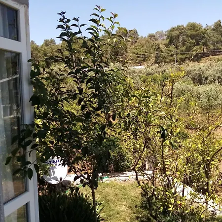 Tatil Evi Tatilevim Fethiye